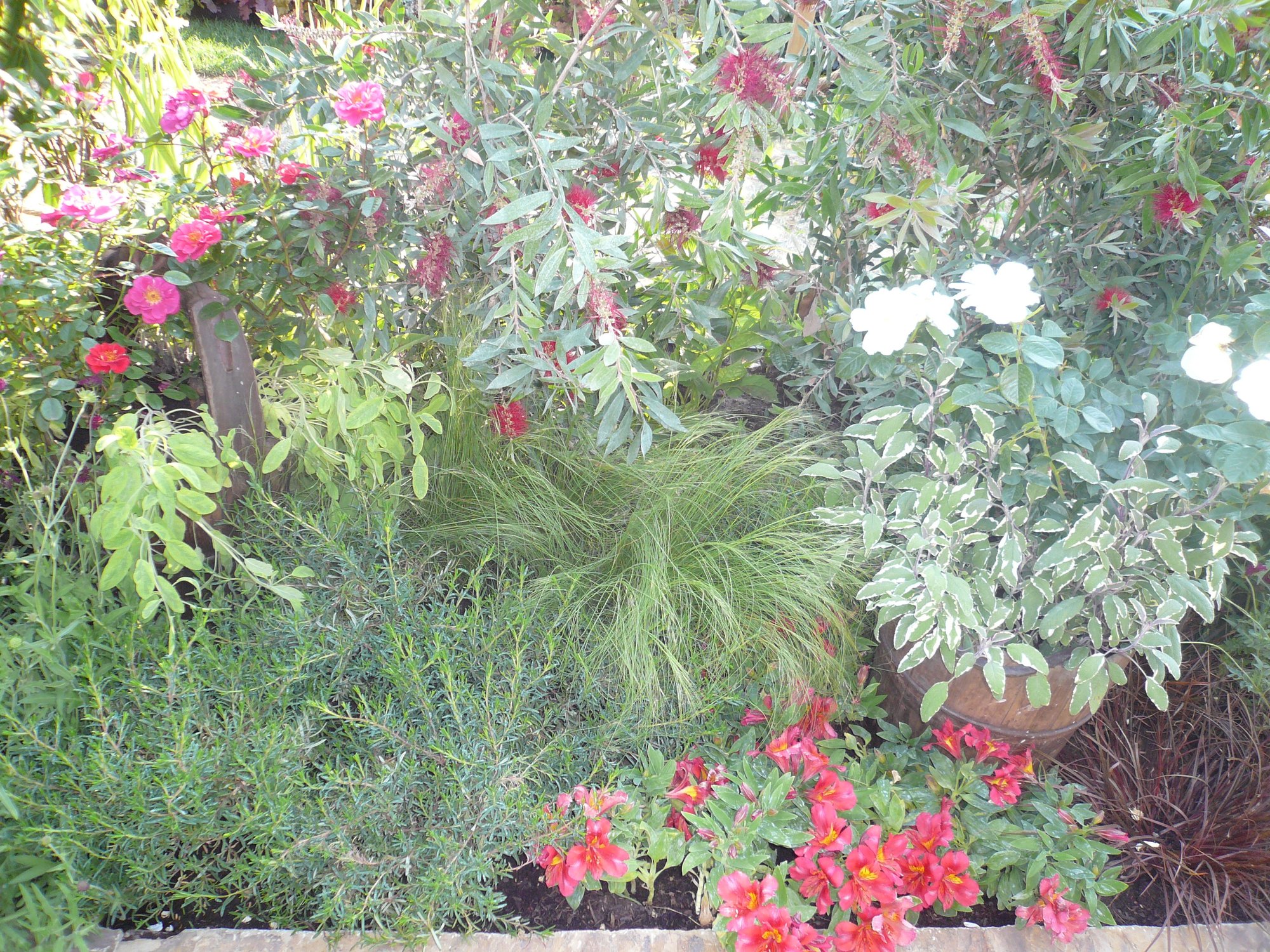 Hampton Court 2013 4